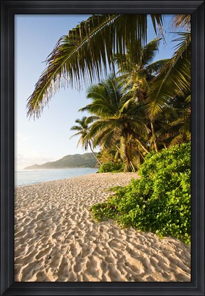 Framed Seychelles, Mahe Island, Anse Marie-Louise, dawn Print