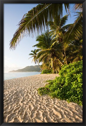 Framed Seychelles, Mahe Island, Anse Marie-Louise, dawn Print