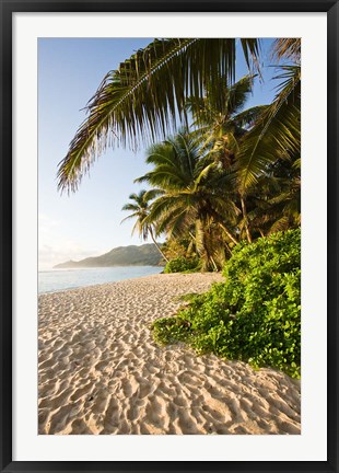 Framed Seychelles, Mahe Island, Anse Marie-Louise, dawn Print