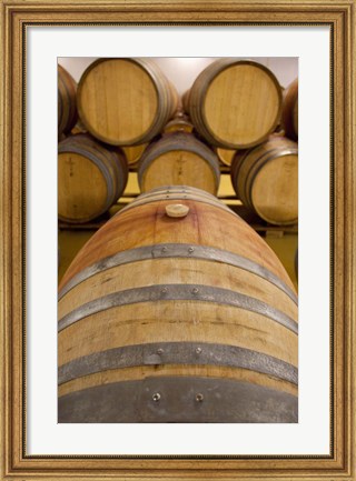 Framed South Africa, Stellenbosch, Zevenwacht Winery Print