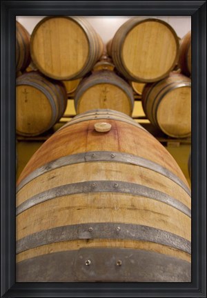Framed South Africa, Stellenbosch, Zevenwacht Winery Print