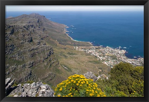 Framed South Africa, Cape Town, Table Mountain, Cape Peninsula Print