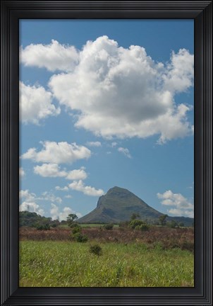 Framed Sugar Cane Fields, Mauritius Print