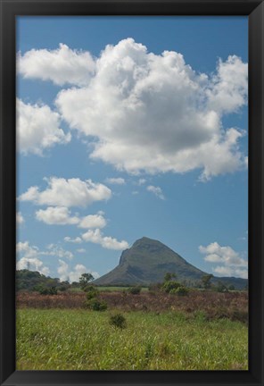 Framed Sugar Cane Fields, Mauritius Print