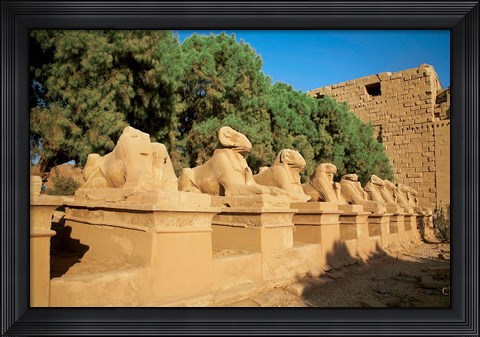 Framed Sphinxes, Temple of Karnak, Temple of Luxor, Avenue of Sphinxes, Luxor, Egypt Print