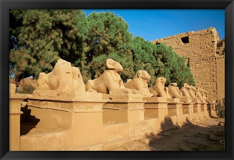 Framed Sphinxes, Temple of Karnak, Temple of Luxor, Avenue of Sphinxes, Luxor, Egypt Print