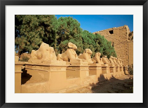 Framed Sphinxes, Temple of Karnak, Temple of Luxor, Avenue of Sphinxes, Luxor, Egypt Print