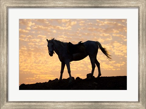 Framed Sunrise and Silhouette of Horse and rider on the Giza Plateau, Cairo, Egypt Print