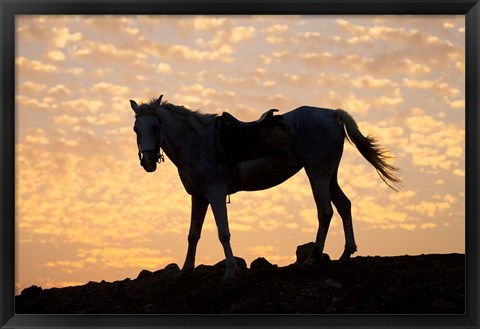 Framed Sunrise and Silhouette of Horse and rider on the Giza Plateau, Cairo, Egypt Print