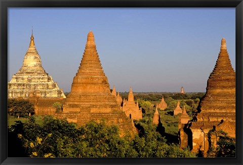 Framed Temples of Bagan Surrounded by Trees, Bagan, Myanmar Print