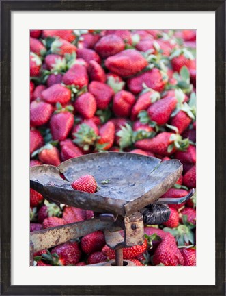 Framed Strawberries for sale in Fes medina, Morocco Print