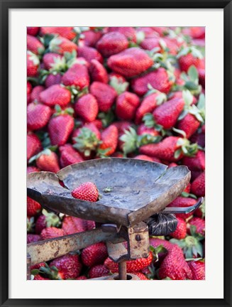 Framed Strawberries for sale in Fes medina, Morocco Print