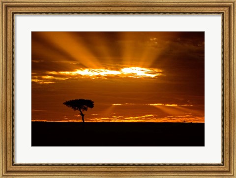 Framed Sunrise, Maasai Mara, Kenya Print