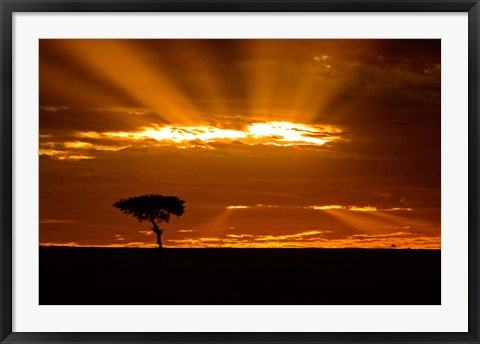 Framed Sunrise, Maasai Mara, Kenya Print