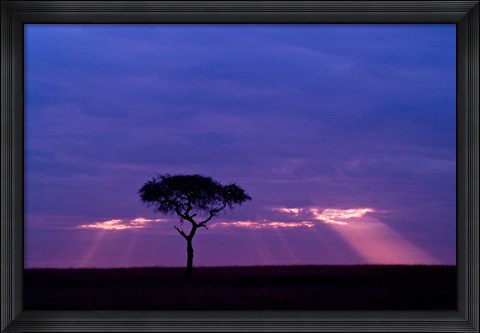 Framed Blue skies, Maasai Mara, Kenya Print