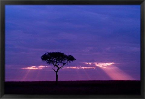 Framed Blue skies, Maasai Mara, Kenya Print