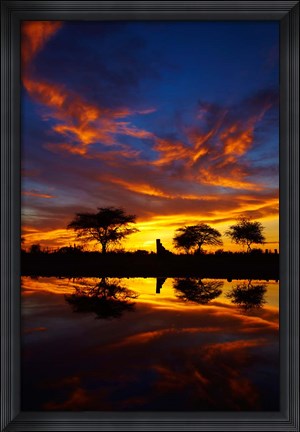 Framed Sunrise, Okaukuejo Rest Camp, Etosha National Park, Namibia Print