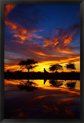 Framed Sunrise, Okaukuejo Rest Camp, Etosha National Park, Namibia Print