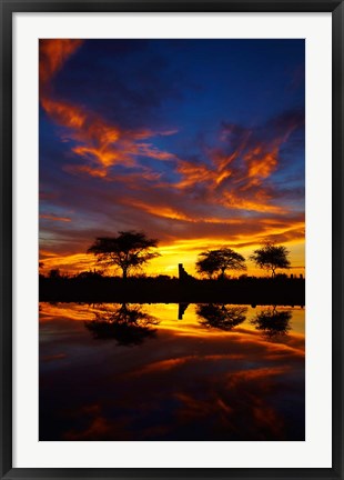 Framed Sunrise, Okaukuejo Rest Camp, Etosha National Park, Namibia Print