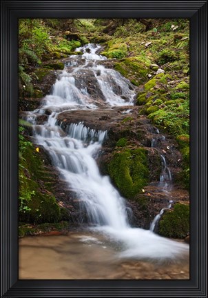 Framed Waterfall, Bhutan Print