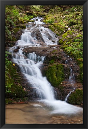 Framed Waterfall, Bhutan Print