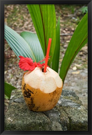 Framed Tropical cocktail drink on Fregate Island, Seychelles Print