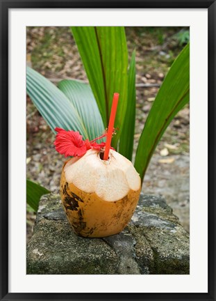 Framed Tropical cocktail drink on Fregate Island, Seychelles Print