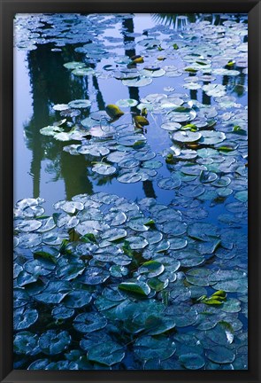 Framed Villa Pond, Jardin Majorelle and Museum of Islamic Art, Marrakech, Morocco Print