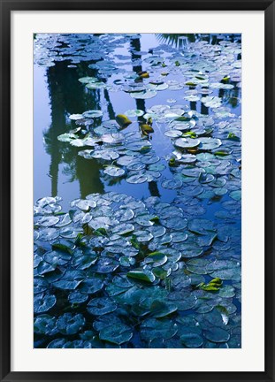 Framed Villa Pond, Jardin Majorelle and Museum of Islamic Art, Marrakech, Morocco Print