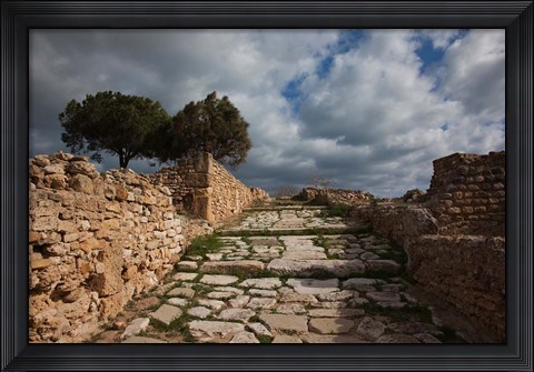 Framed Tunisia, Carthage, Roman Villas, Ancient Architecture Print