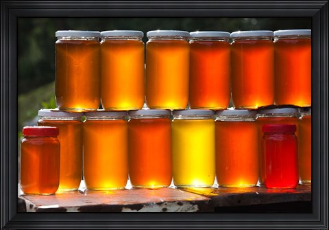 Framed Tunisia, Nefza, local honey, agriculture Print