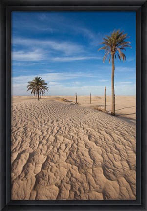 Framed Great Dune and Palm Trees, Tunisia Print