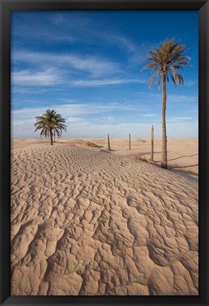 Framed Great Dune and Palm Trees, Tunisia Print