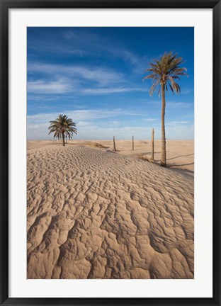 Framed Great Dune and Palm Trees, Tunisia Print