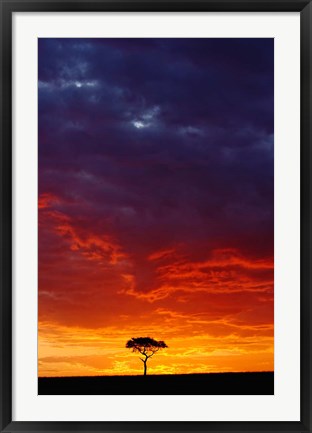 Framed Masai Mara Game Reserve, Kenya Print