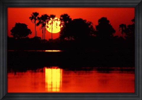 Framed Tropical Sunset in North Central Botswana Print