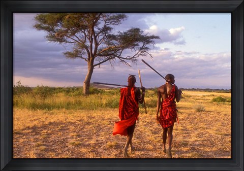 Framed Two Maasai Morans Walking with Spears at Sunset, Amboseli National Park, Kenya Print