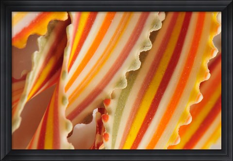 Framed USA. Close-up of dried rainbow pasta noodles Print