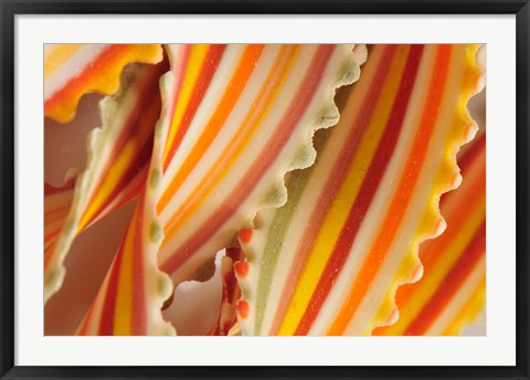 Framed USA. Close-up of dried rainbow pasta noodles Print