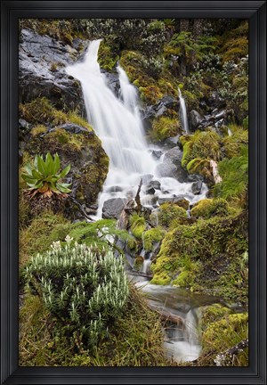 Framed Waterfall at Mount Stanley, Ruwenzori, Uganda Print