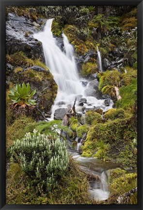 Framed Waterfall at Mount Stanley, Ruwenzori, Uganda Print