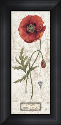 Framed Royal Garden IV Print
