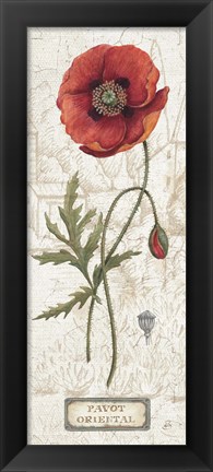 Framed Royal Garden IV Print