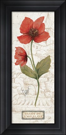 Framed Royal Garden V Print
