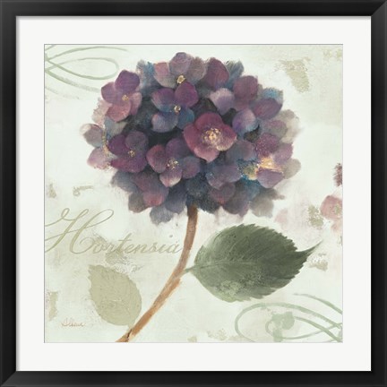 Framed Abundant Hydrangea II Blue Green Print