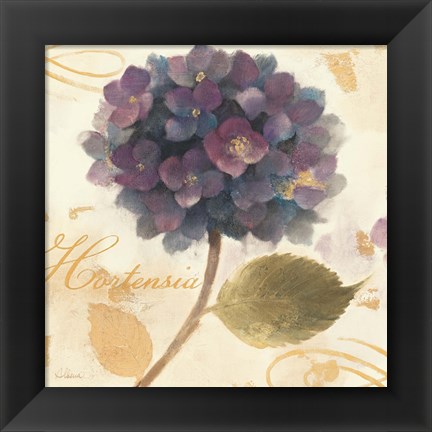 Framed Abundant Hydrangea II Print