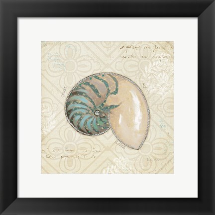 Framed Beach Treasures III Print