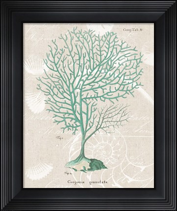 Framed Gorgonia Granulata on Linen Sea Foam Print