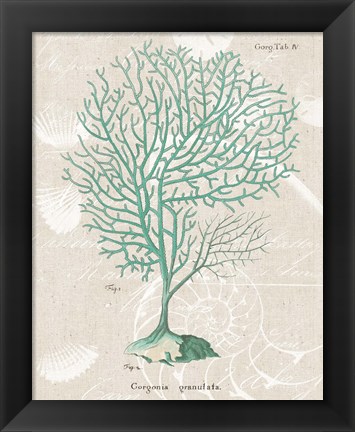 Framed Gorgonia Granulata on Linen Sea Foam Print
