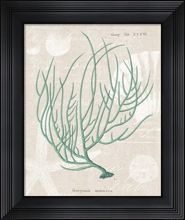 Framed Gorgonia Miniacea on Linen Sea Foam Print